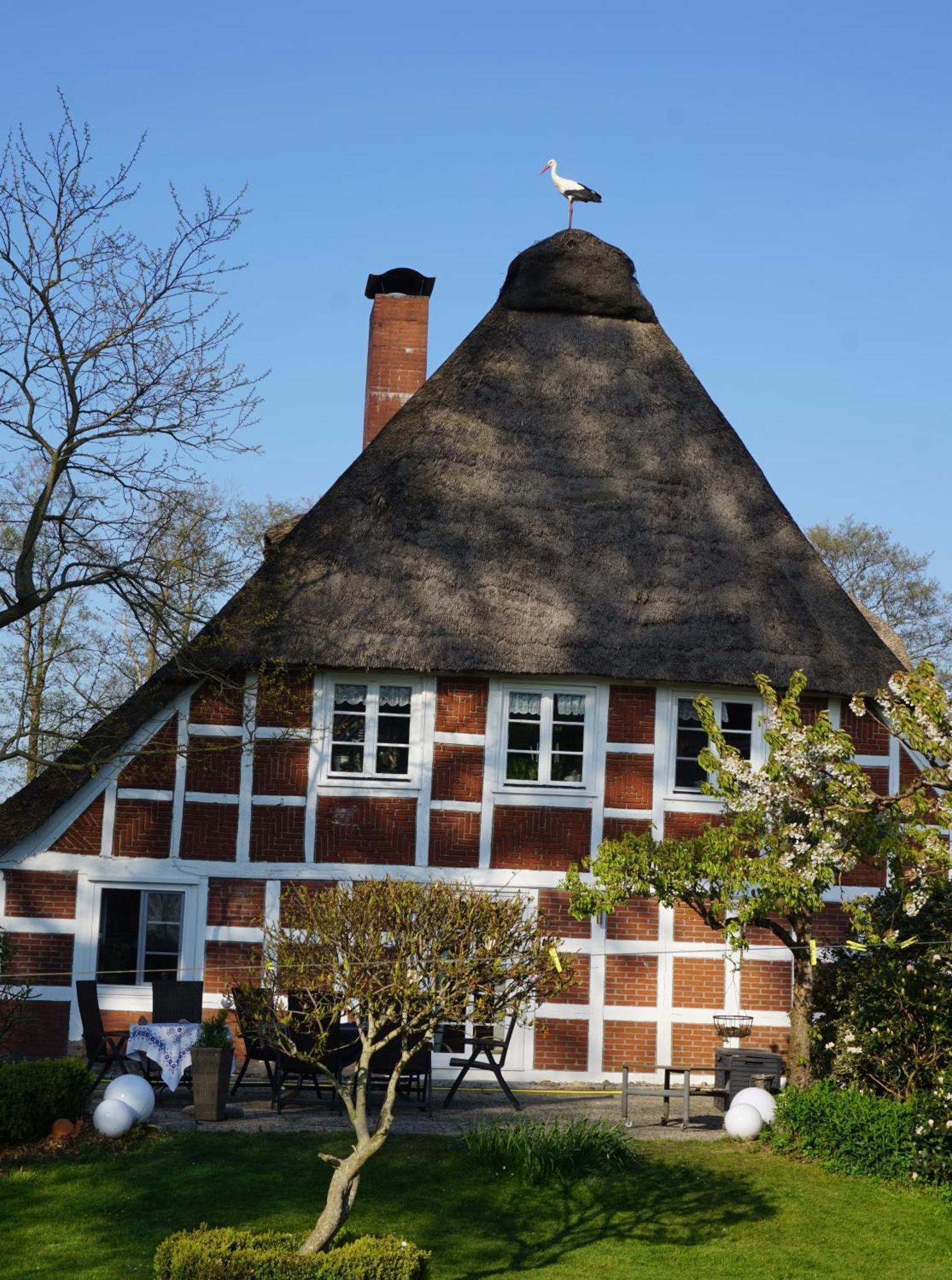 Altes Landhaus Oste, Klavier Appartement, 2 Zimmer Mit Kamin Hemmoor 외부 사진